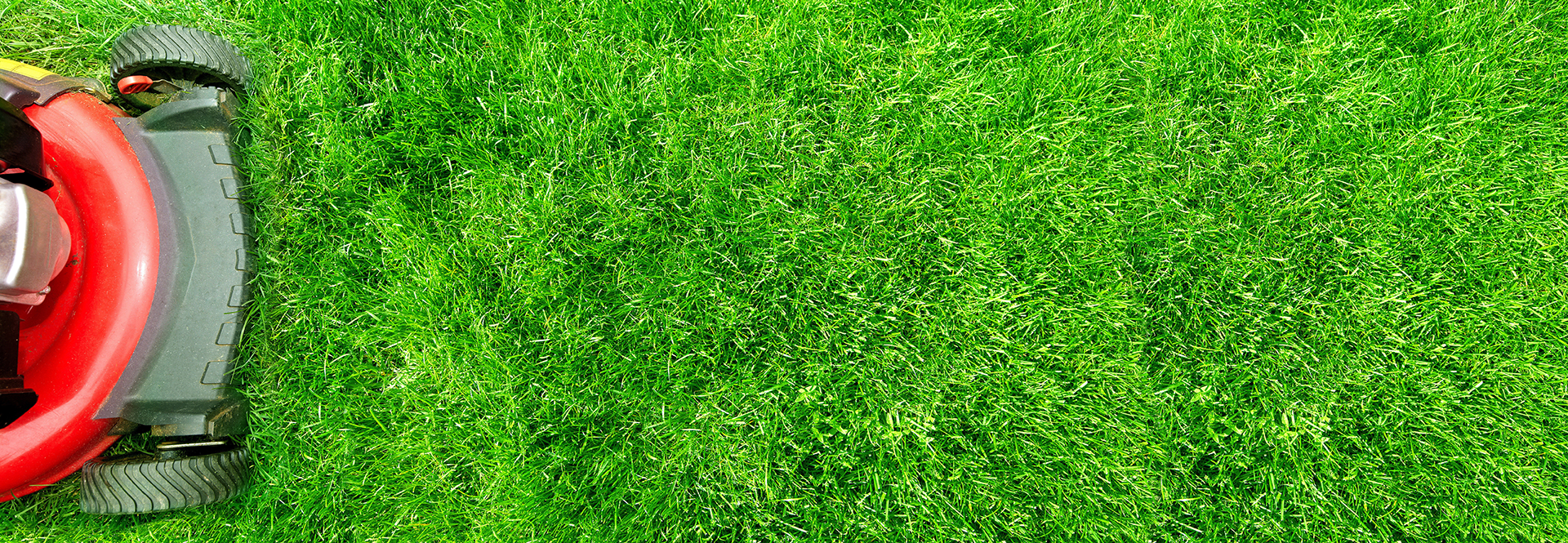 Professional lawn care with striped pattern