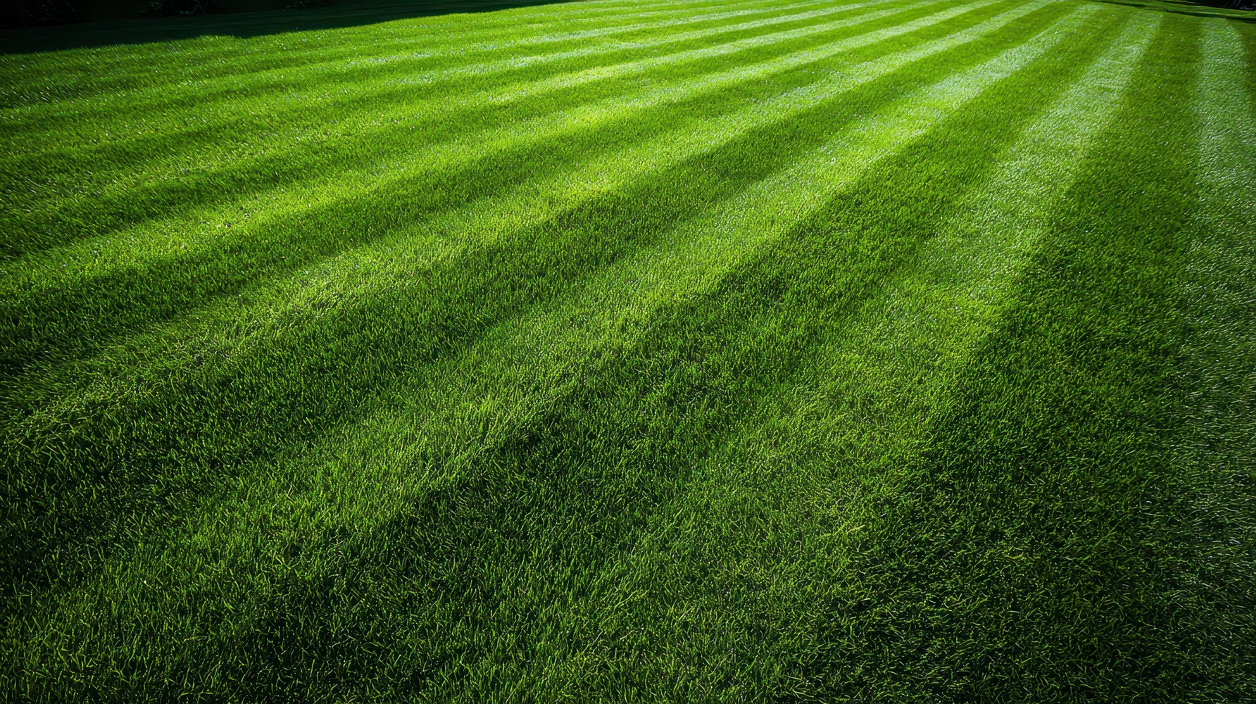 Lawn Care