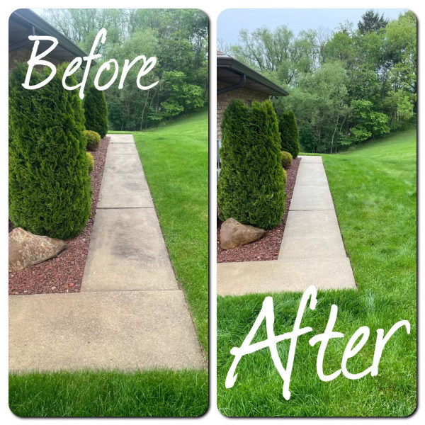 Before and after walkway cleaning